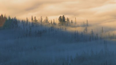 400-winterinversioncap